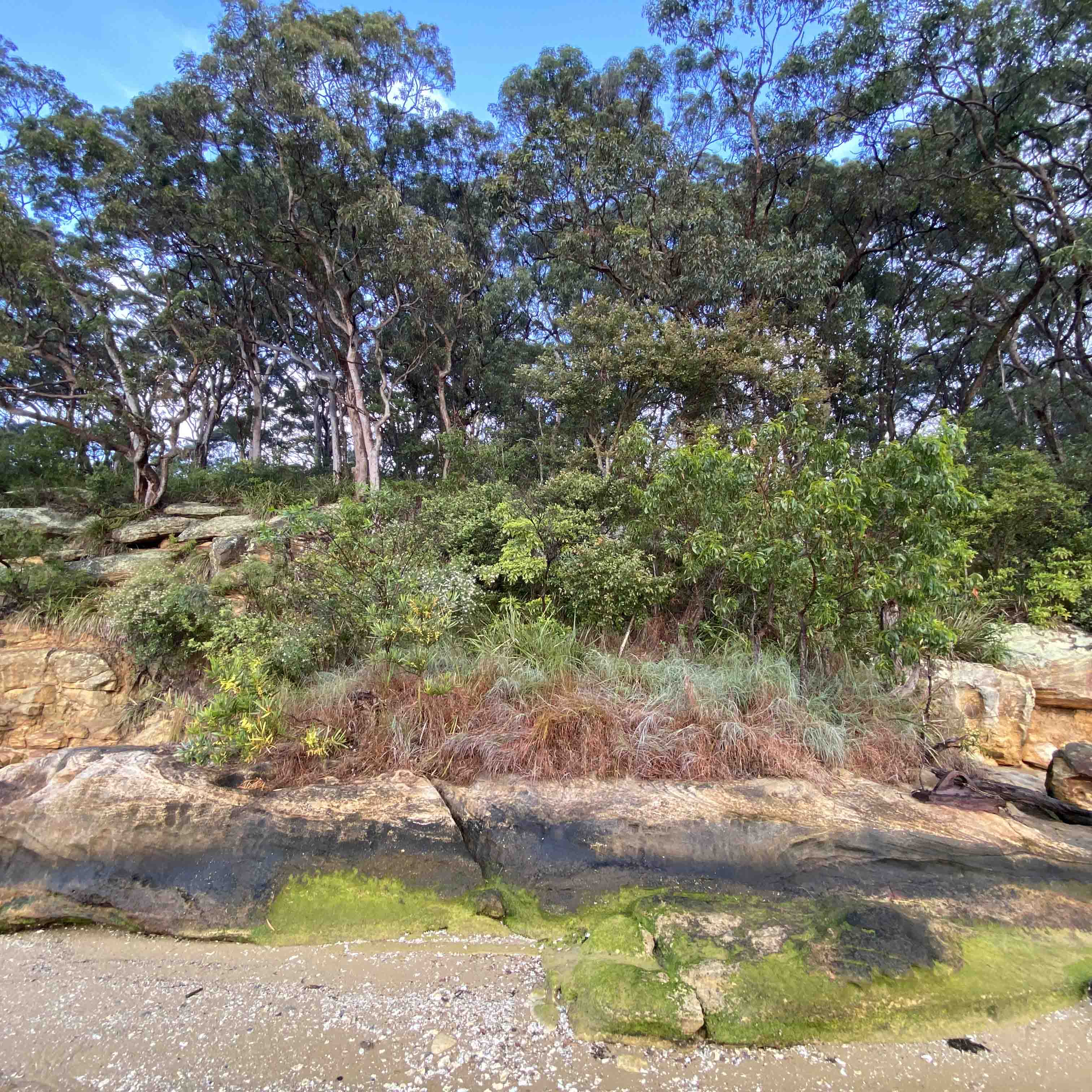 Family Bushwalk