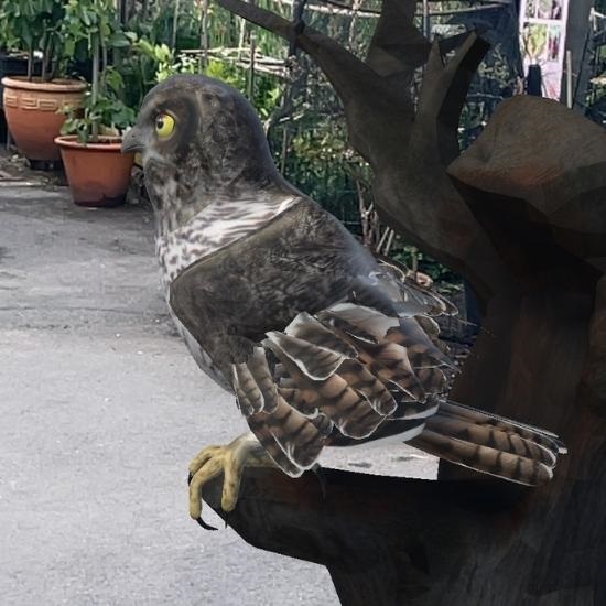 An augmented reality owl sitting on a branch, with a real garden in the background