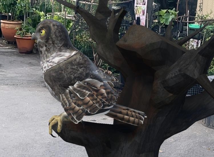 Augmented reality owl sitting on tree branch