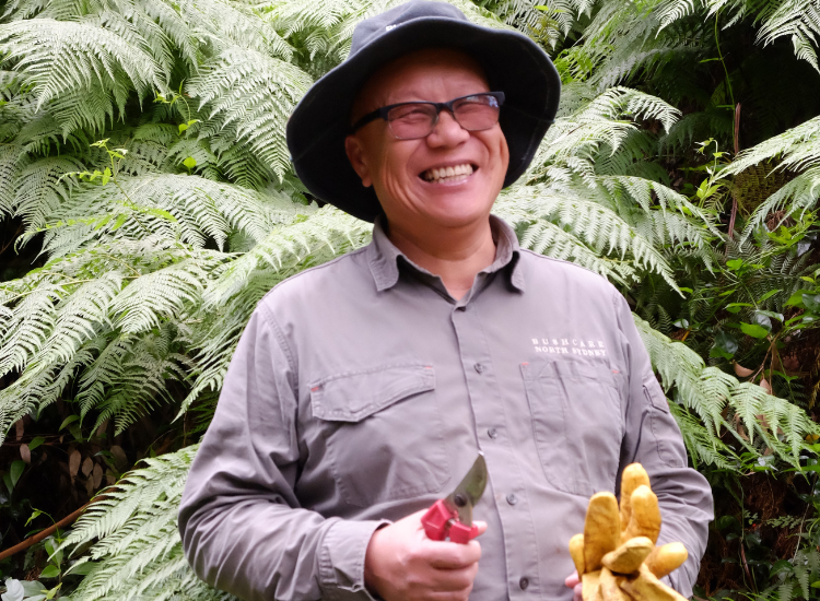 A man, wearing a grey Bushcare North Sydney shirt and hat and holding secateurs and gloves, smiling in front of a background of green palm fronds.