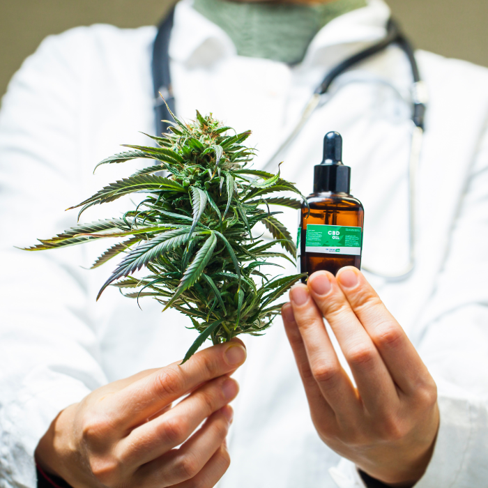 Unlocking the potential of medicinal cannabis