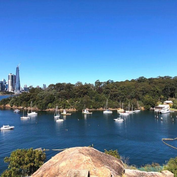 bushland reserve bordered by harbour with boats on water