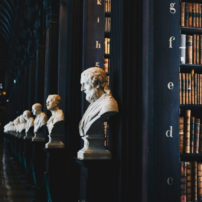 Busts of marble statues lined up next to library shelves