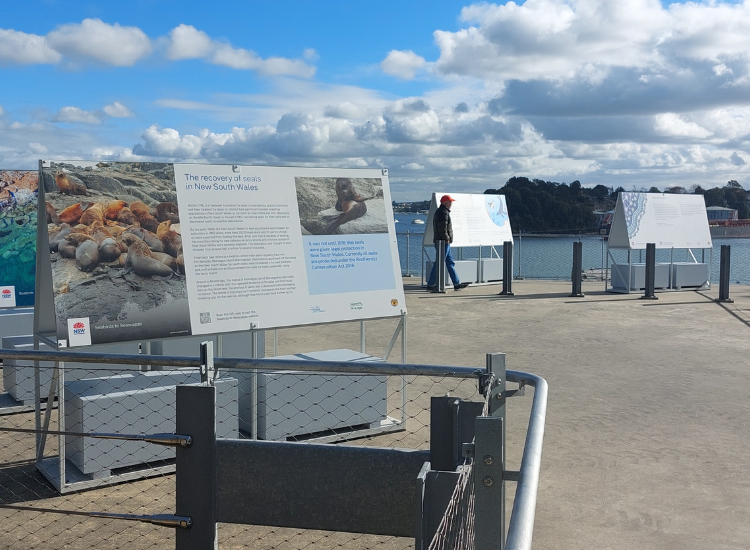 Display boards showing information and pictures of marine life outside on a concrete harbourside platform on a sunny day